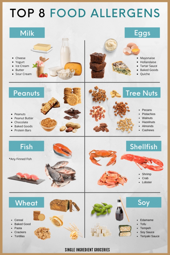 Top 9 food allergens image